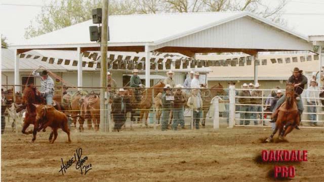 Eric Cozzitorto смотреть онлайн