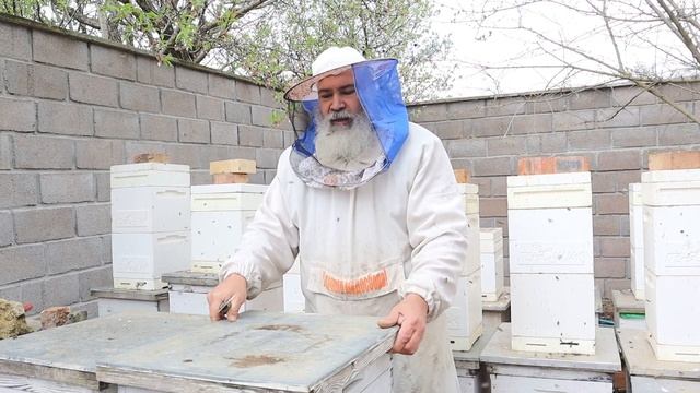 Пчёлы на высадку смотреть онлайн