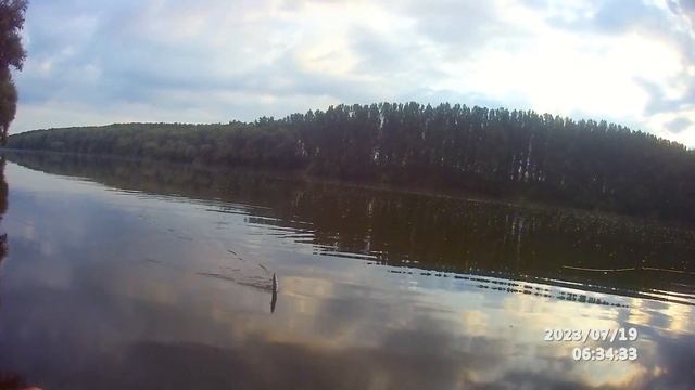 Fly Fishing. 