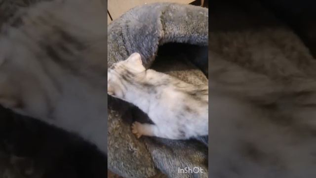 Фиска музыкант смотреть онлайн