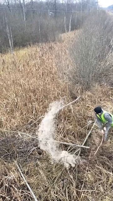 Бьем камыш(рогоз) - We beat the reeds (cattail) смотреть онлайн