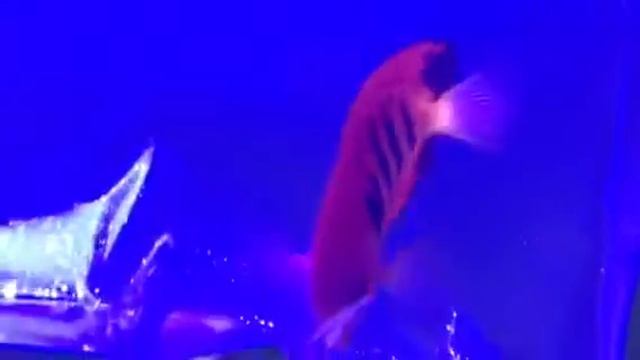 Flame angel смотреть онлайн