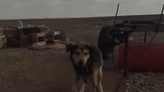Кут