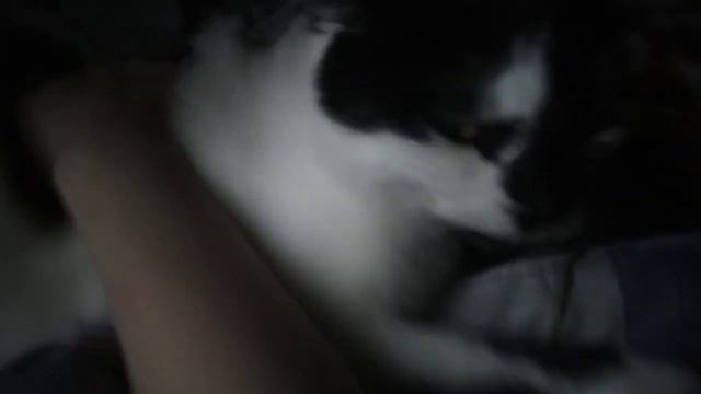 Ержан вставай Саламалейкум на работу пора 2 часть смотреть онлайн