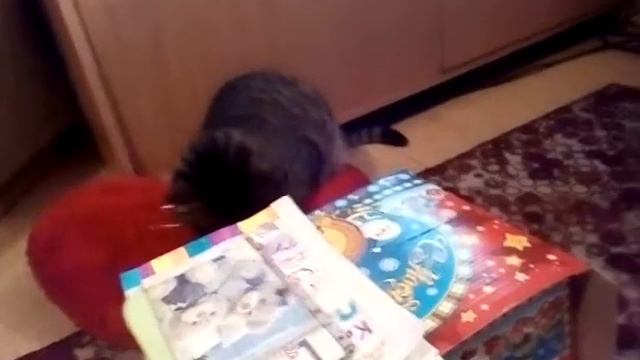 Патрик пошёл в 1 класс 1часть смотреть онлайн