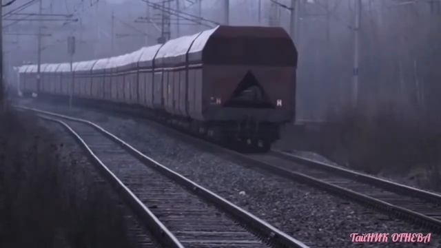 Крик дня(видеооткрытка) смотреть онлайн