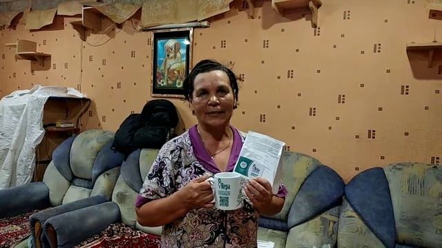 Заказали в компании Репа потолки смотреть онлайн