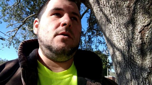 Live Oak vs Laurel Oak, bluff oak, water oak identification смотреть онлайн