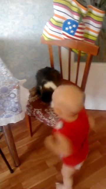 злая кошка 2