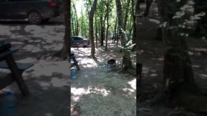 Автокемпинг Енот Лермонтово.