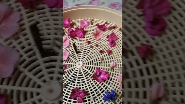 сушу цветы для украшений. смотреть онлайн