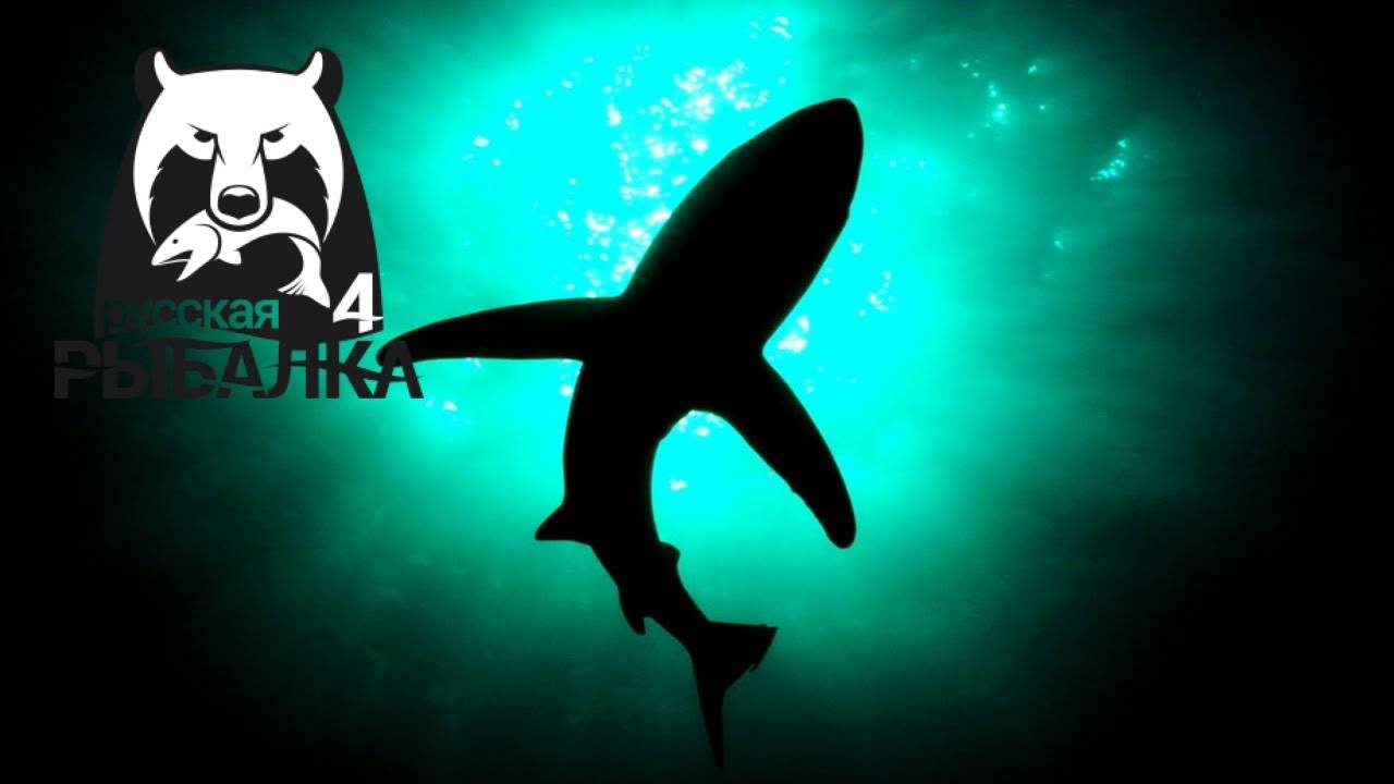 Русская рыбалка 4 (РР4)