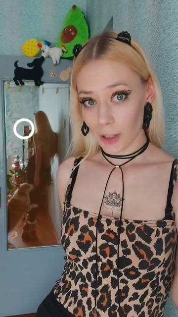 Бублик ждёт всех в телеграм 🧡🐾 tanya.colibri смотреть онлайн