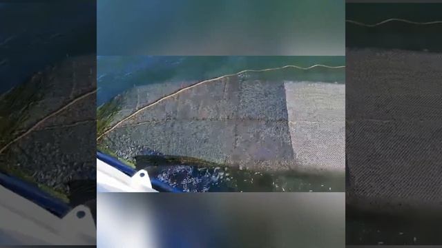 Новороссийские рыбаки ловят кильку, из которой делают «шпроты в масле» по всей России