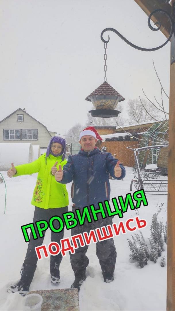 Кормушка для птиц смотреть онлайн