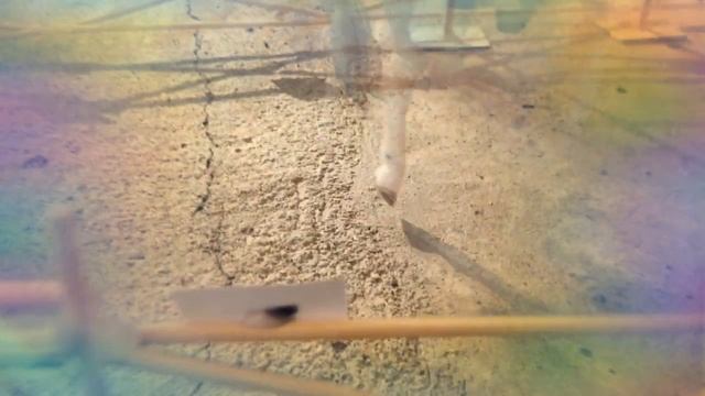 Просто слушайте ... 🖤🦄 смотреть онлайн