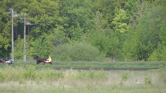 17.05.2020г. 4-й заезд 2 и 3-х лет смотреть онлайн