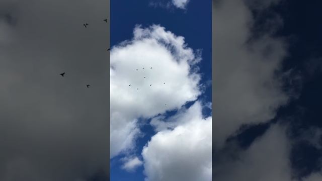 #жёлтый смотреть онлайн