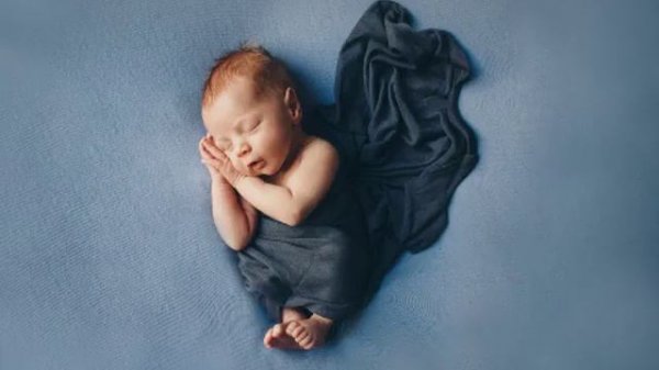 Buddy Castle – The Cuppycake Song