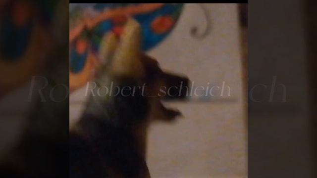 (Байкал) ММР "Я к вам пишу чего же боле" смотреть онлайн