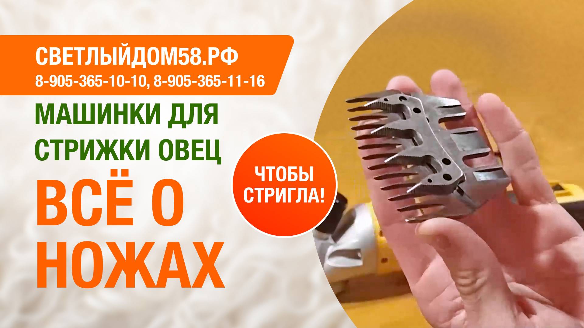 Ножи для машинки для стрижки овец. Всё о ножах. Если машинка не стрижёт. Профессиональный обзор.