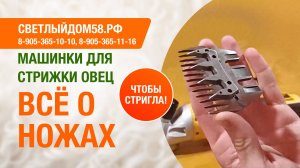 Ножи для машинки для стрижки овец. Всё о ножах. Если машинка не стрижёт. Профессиональный обзор.