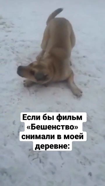 #бешенство #мемы #новыефильмы #фильмбешенство #фильмы2023 #кино