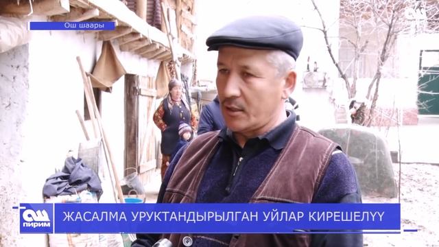 ЖАСАЛМА УРУКТАНДЫРЫЛГАН УЙЛАР КИРЕШЕЛҮҮ. Ош Пирим жаңылыктары. 15.03.2019