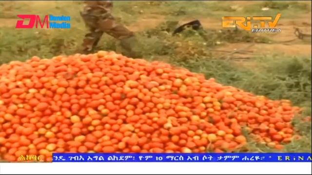 News in Tigre for March 10, 2023 - ERi-TV, Eritrea смотреть онлайн