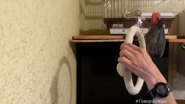 Сегодня ДР Жана = 7 лет! Минифрагментики утра этого дня... смотреть онлайн