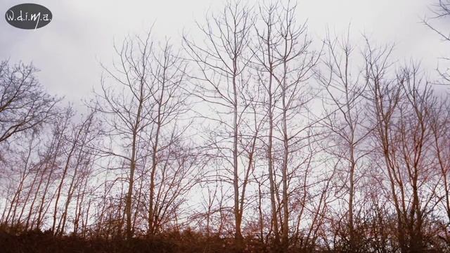 FAUNUS - 'Spring - Birth' (lyrics)