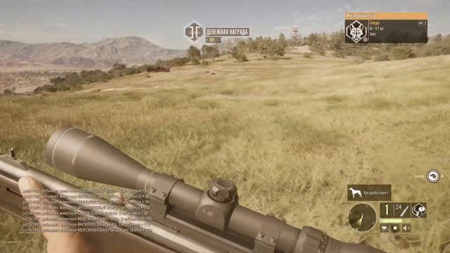 животные такие странные D