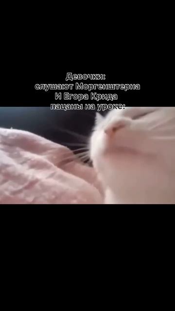 #shorts #жиза #мем #мемы #прикол #юмор #memes #капибара смотреть онлайн