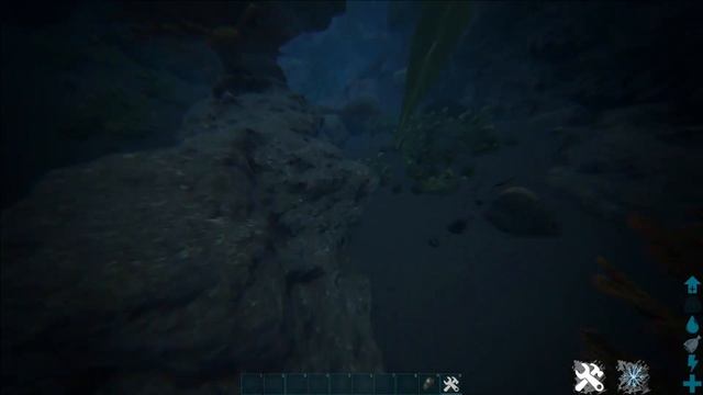Ark Fjordur | Black Pearl Farming Locations