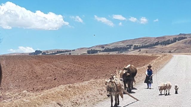 PERU YOLLARINDA 11 (MARAS ve MORAY) смотреть онлайн