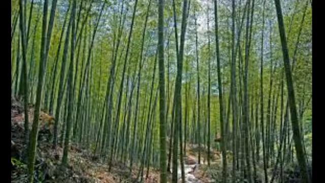 Jonny Chung's Live Stream 2056 смотреть онлайн