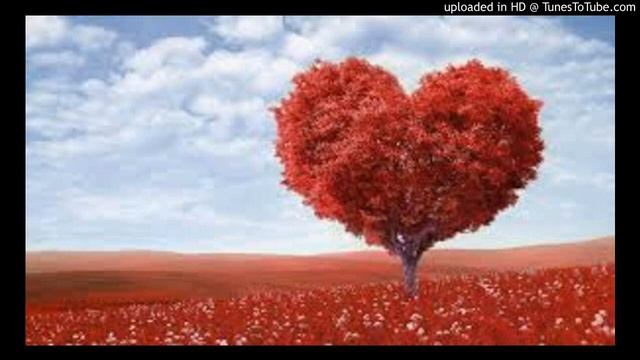 LA LLAMADA DEL AMOR - JOSE LUIS RODRIGUEZ EL PUMA смотреть онлайн