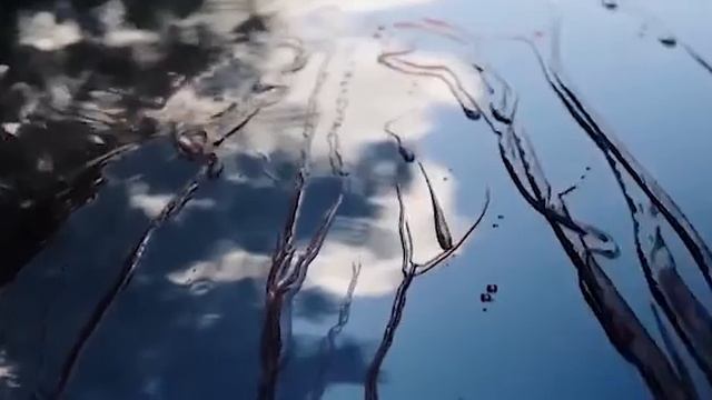 Керамическое покрытие #ROYALPROTECTION смотреть онлайн