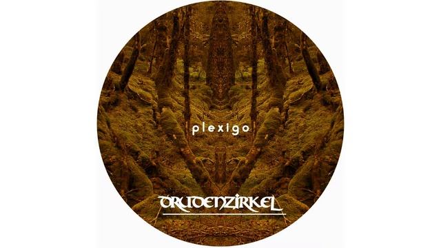 Plexigo - Drudenzirkel • [Psygressive Trance] • 143 BPM смотреть онлайн