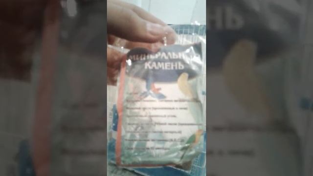 Мои попугайчик кушают смотреть онлайн