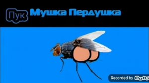 Мушка пердушка