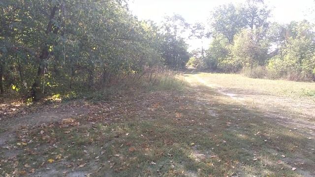 катран 16.09.20 смотреть онлайн