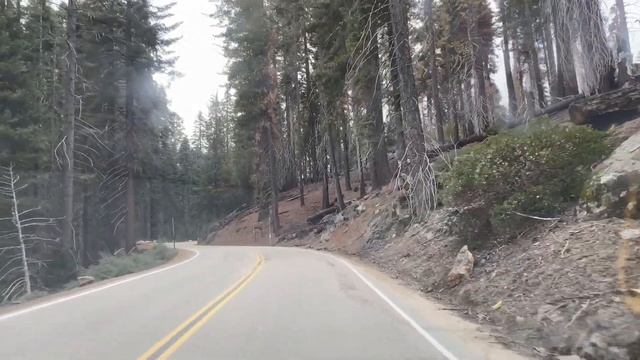 Sequoia National Park late winter March 2019 смотреть онлайн