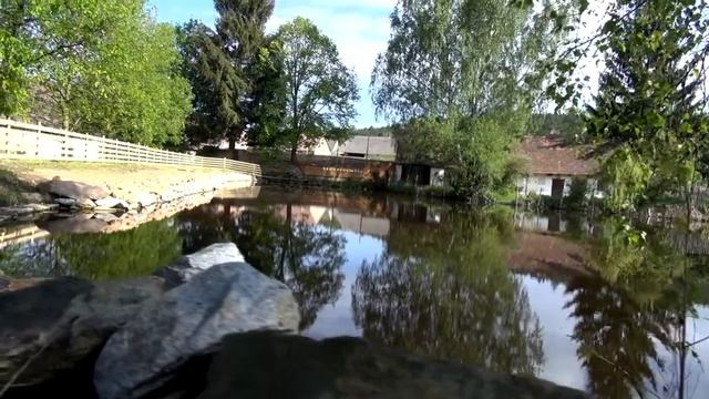 FROV JU - Introdukce raka říčního смотреть онлайн