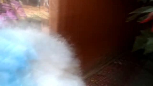 Mari Y Sofi Juegan Con La Foquita.