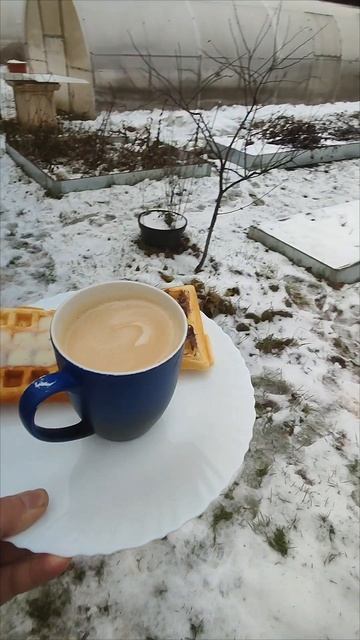 Прекрасный завтрак в провинции смотреть онлайн