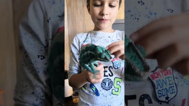 ЧТО ПРОИСХОДИТ С ХАМЕЛЕОНОМ🦎 смотреть онлайн
