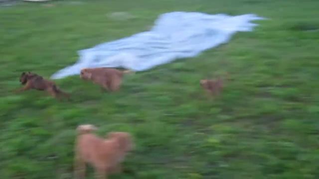 MVI 1207 смотреть онлайн