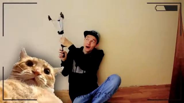 ЕСЛИ БЫ У ЖИВОТНЫХ БЫЛИ СОЦ СЕТИ смотреть онлайн