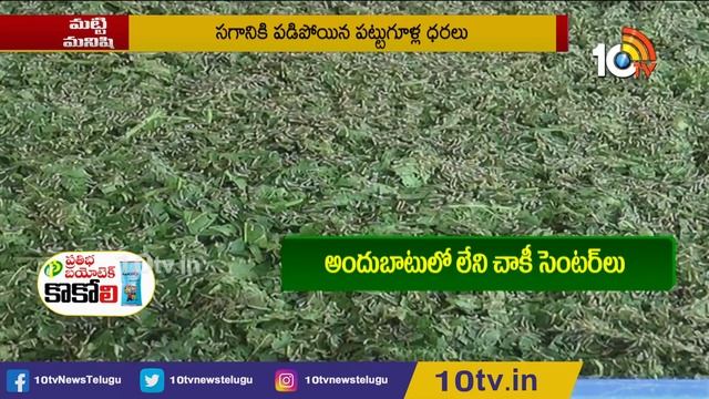 చరిత్రలో ఎన్నడూ లేని విధంగా ధరలు | Silkworm Cultivation & Market Prices | Matti Manishi | 10TV News смотреть онлайн